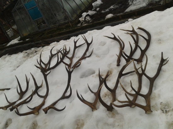 zhody tohtorocna uroda chybaju este 4