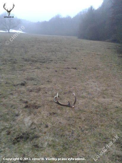 dnes na ozimine