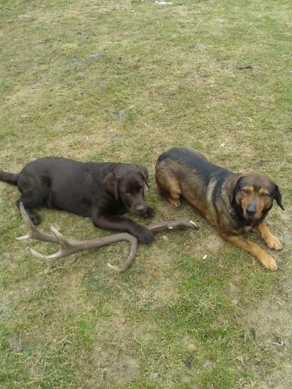 14toracik z tych mladsich nadejnych