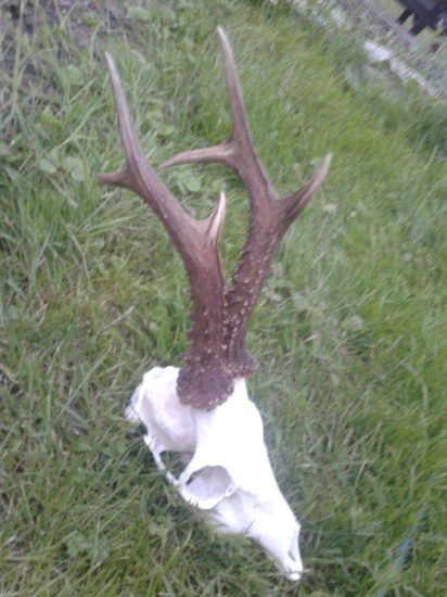 moj tohtorocny  5 rokov ale nema hmotu ani dlsku  vysad