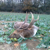 Doprovod na I. vekovú triedu