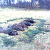 Spoločná na Podskale