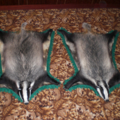 To sú tie dva jednou ranou