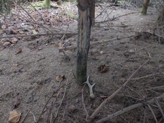 Příroda nadělovala 2