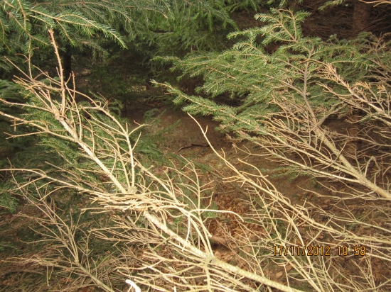 Otáčet se vyplatí!