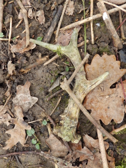 Včerejší 2 a také starší.