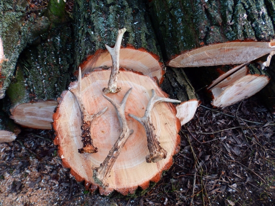 Nedělní čtyřka pohromadě.