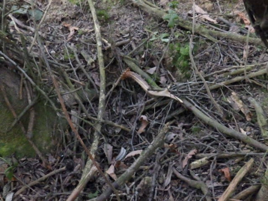 Poslední letošní shozy.