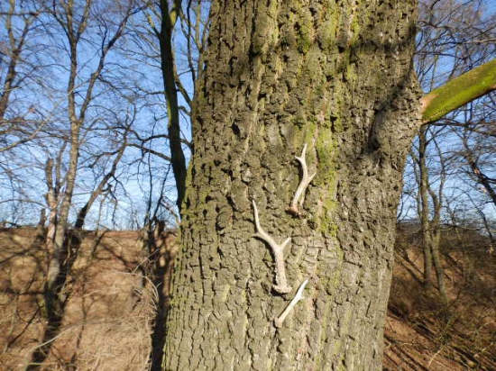 Poslední v roce 2014