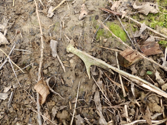 Pošlapaný a zablácený..