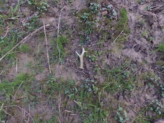 26.Starší potěšení.