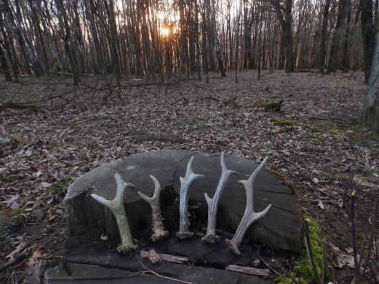 Sobotní odpoledne 4.4.2015