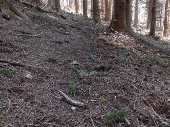 Na ochozu od vysoké.