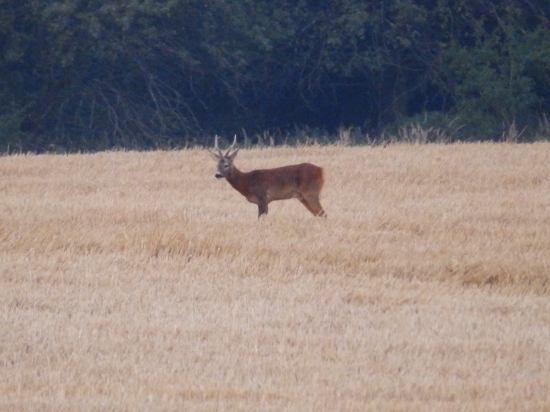 Druhé setkání.
