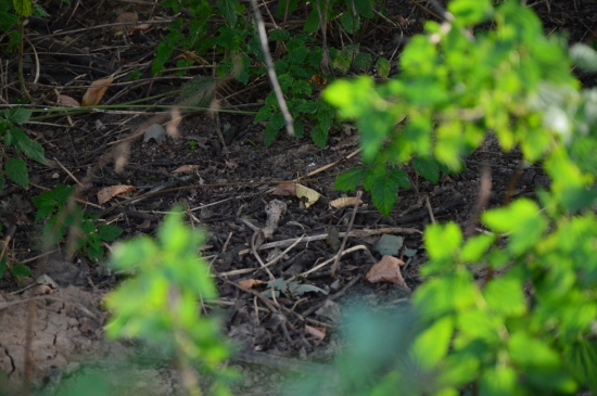 Je tam!První pohled.