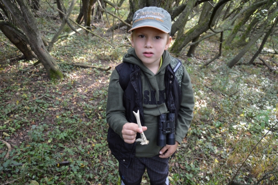 Detail včerejší párové rarity č.40 k č.38