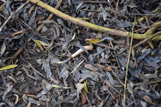 Mikulášská nadílka 2.