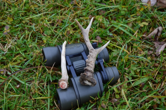 Mikulášská neděle.