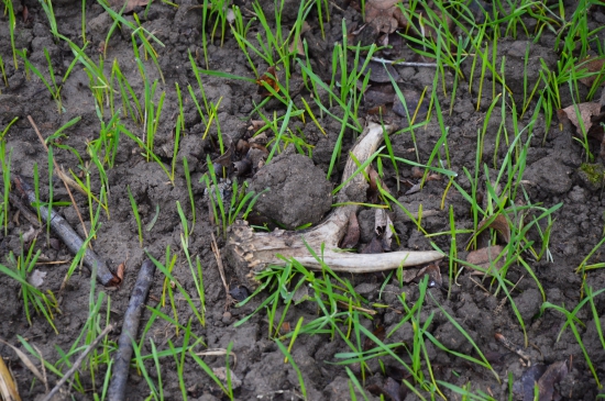 č.47 necelých 160g.