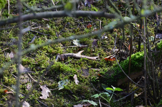 Lehl si do měkkého.