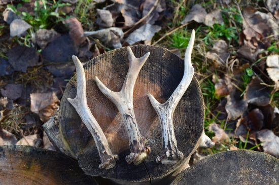 Pondělí 14.12.2015