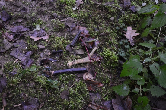 č.57.Letos poslední.