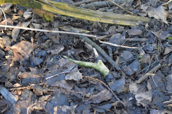 Jedna část úhynu.