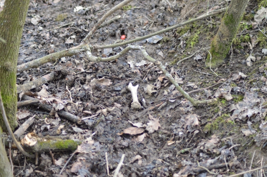 L.6.Po 10 km a bezmezné trpělivosti.