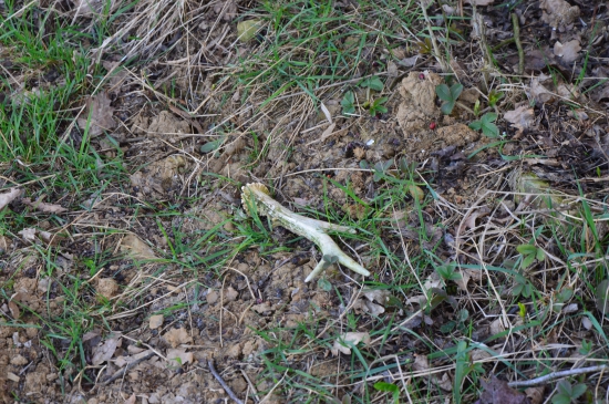 L.24.Jarní část ukončena.