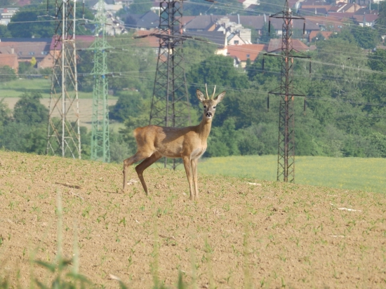 Za městem.