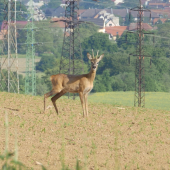Za městem.