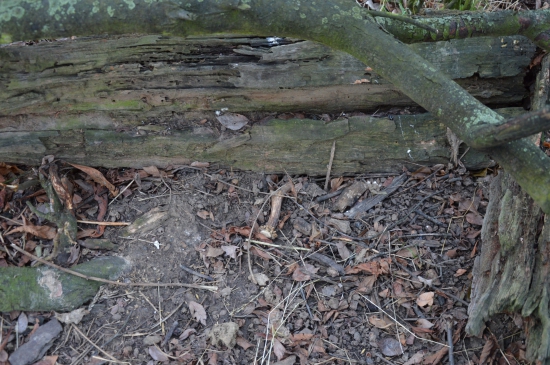 L.43.Pečeť´ho prozradila.