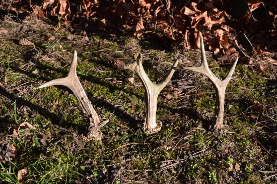 Závěr sezony 2016.