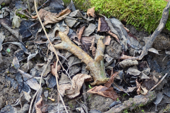 1 Nějak začít musím:-)