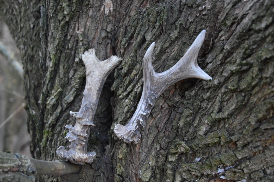 Přej a bude ti.....