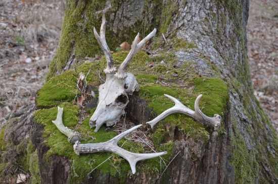 Trpělivost se vyplatila.