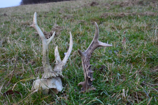 Poobědní dvouhodinovka.