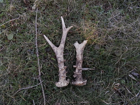 Po pěti letech spolu.