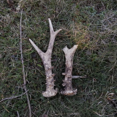 Po pěti letech spolu.