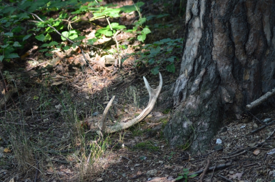 Dovolená končí,Rychleby se loučí.