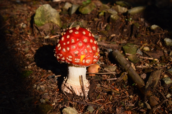 No není k nakousnutí:-)