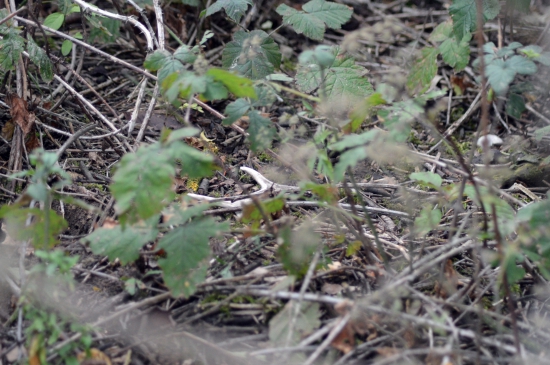 45.17.Druhý pohled:-)