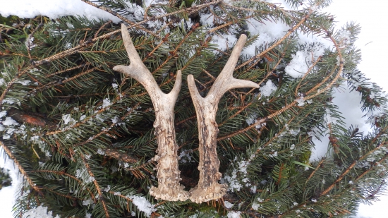 Po roce doplněný pár.