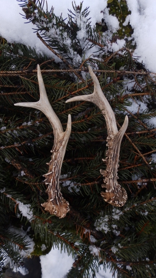 Po roce opět levý.