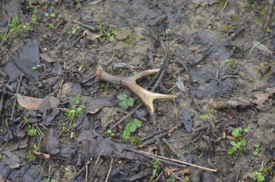 21.18.Mladý a čerstvý.