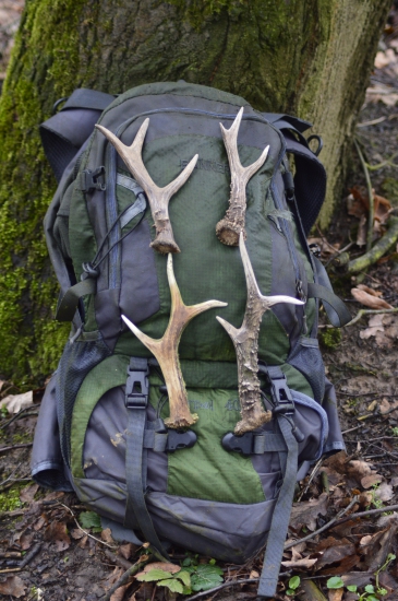 Fyzicky náročný,ale úspěšný den.