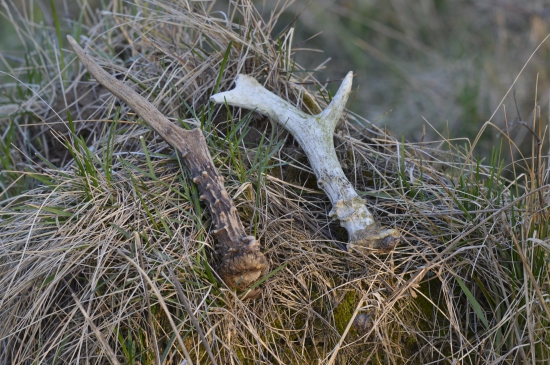 Velikonoční pondělí.