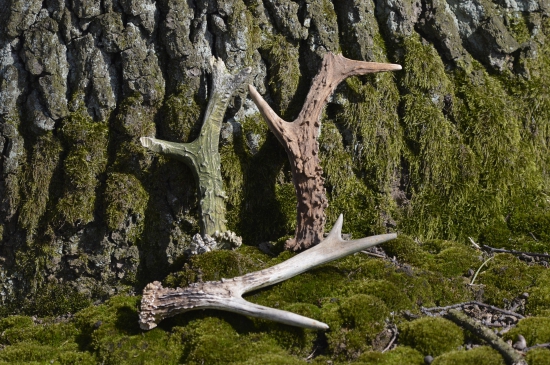 Konec jarní části.