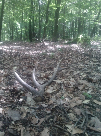 môj prvý, ale za to veľmi cenený