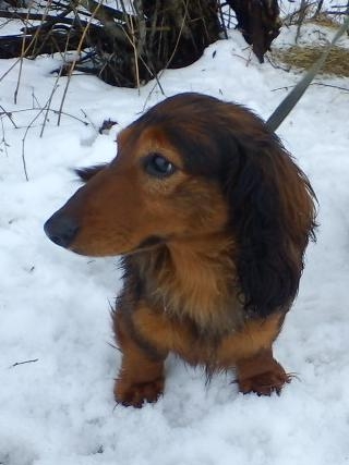 Môj pomocnik Beny :))